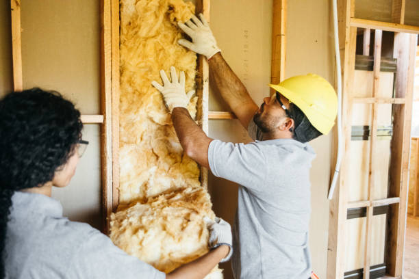 Types of Insulation We Offer in Heyburn, ID